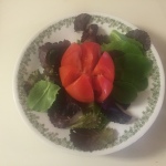 healthy recipe, tomato on lettuce